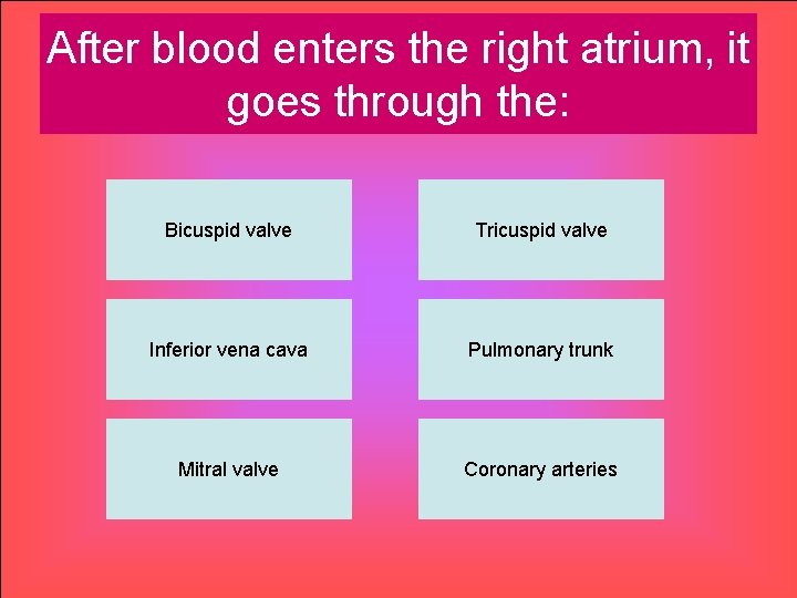 After blood enters the right atrium, it goes through the: Bicuspid valve Tricuspid valve