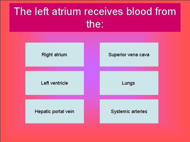 The left atrium receives blood from the: Right atrium Superior vena cava Left ventricle