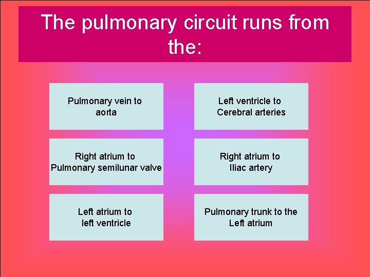 The pulmonary circuit runs from the: Pulmonary vein to aorta Left ventricle to Cerebral