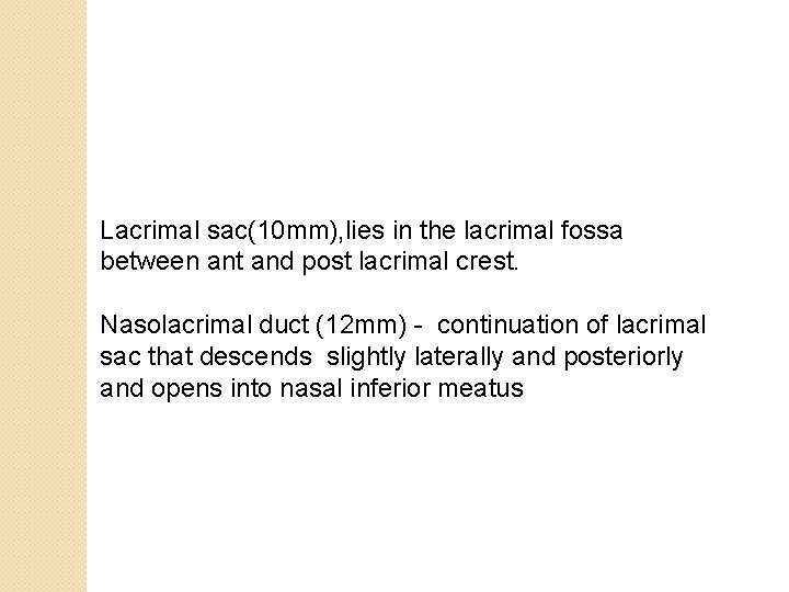 Lacrimal sac(10 mm), lies in the lacrimal fossa between ant and post lacrimal crest.