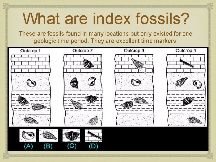 What are index fossils? These are fossils found in many locations but only existed