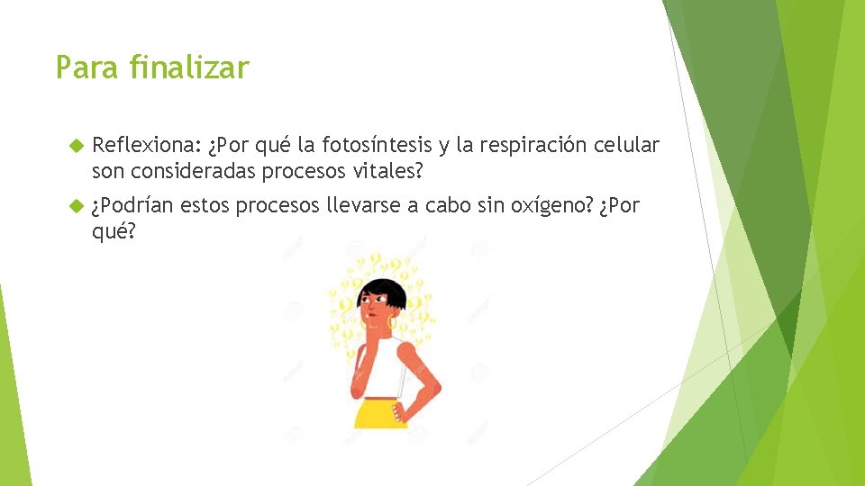 Para finalizar Reflexiona: ¿Por qué la fotosíntesis y la respiración celular son consideradas procesos