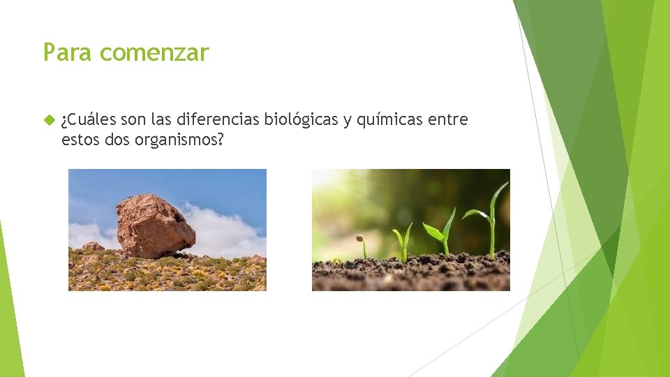 Para comenzar ¿Cuáles son las diferencias biológicas y químicas entre estos dos organismos? Para comenzar ¿Cuáles son las diferencias biológicas y químicas entre estos dos organismos?