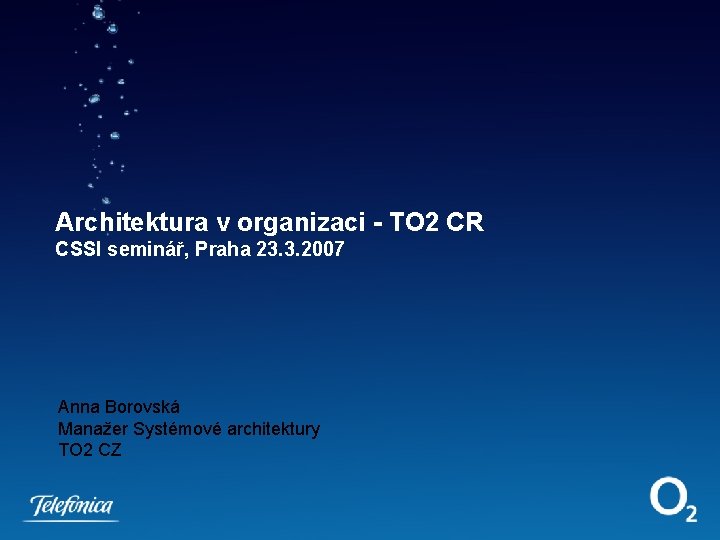 Architektura v organizaci - TO 2 CR CSSI seminář, Praha 23. 3. 2007 Anna