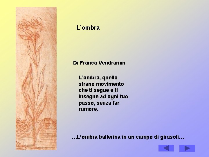 L’ombra Di Franca Vendramin L’ombra, quello strano movimento che ti segue e ti insegue L’ombra Di Franca Vendramin L’ombra, quello strano movimento che ti segue e ti insegue