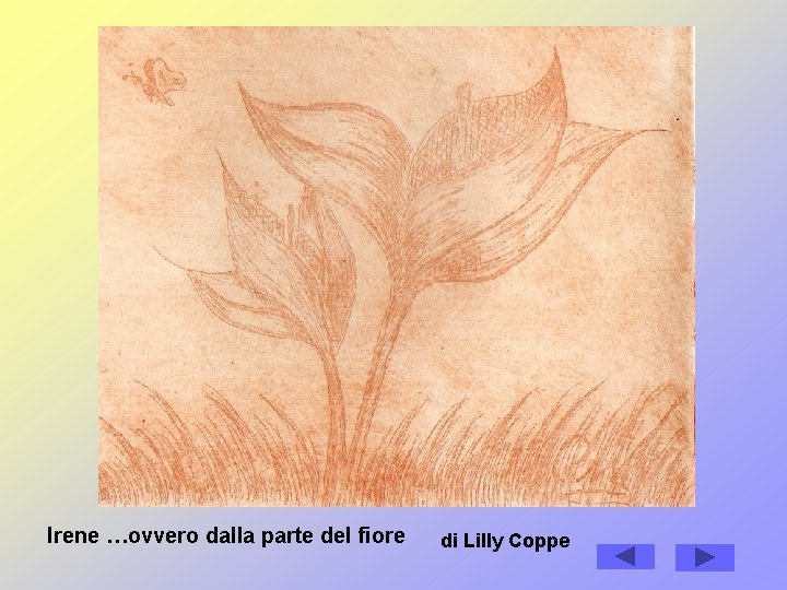Irene …ovvero dalla parte del fiore di Lilly Coppe Irene …ovvero dalla parte del fiore di Lilly Coppe
