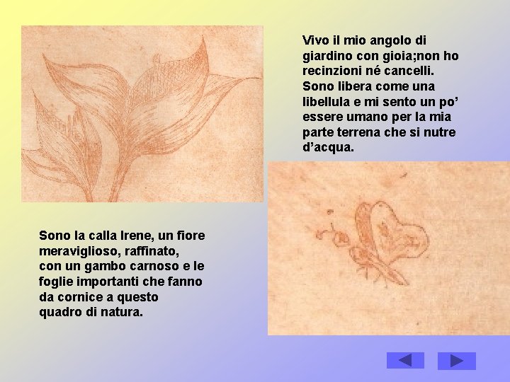 Vivo il mio angolo di giardino con gioia; non ho recinzioni né cancelli. Sono Vivo il mio angolo di giardino con gioia; non ho recinzioni né cancelli. Sono