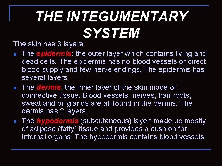 THE INTEGUMENTARY SYSTEM The skin has 3 layers: n The epidermis: epidermis the outer