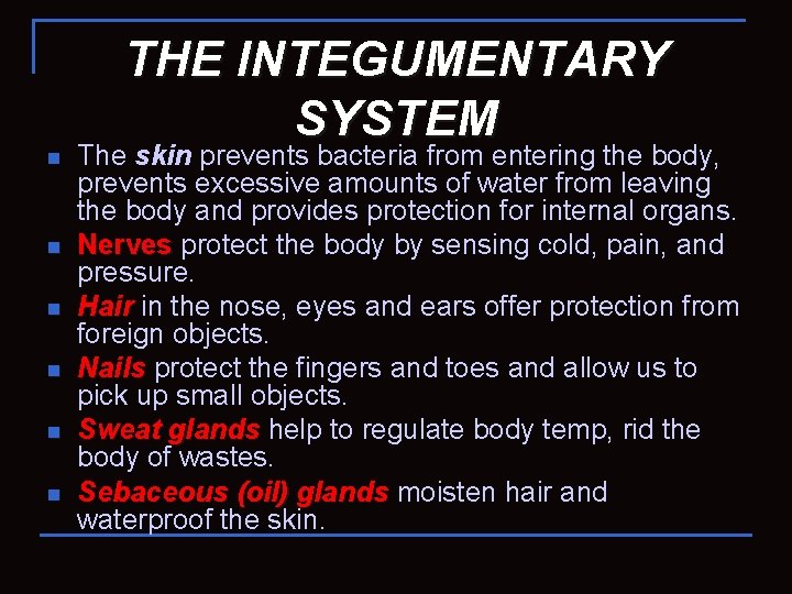n n n THE INTEGUMENTARY SYSTEM The skin prevents bacteria from entering the body,