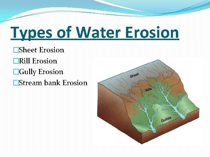 Types of Water Erosion �Sheet Erosion �Rill Erosion �Gully Erosion �Stream bank Erosion 