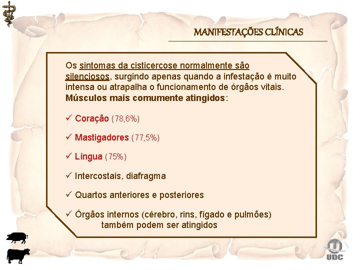 MANIFESTAÇÕES CLÍNICAS Os sintomas da cisticercose normalmente são silenciosos, surgindo apenas quando a infestação