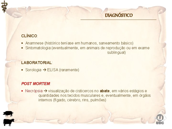 DIAGNÓSTICO CLÍNICO: § Anamnese (histórico teníase em humanos, saneamento básico) § Sintomatologia (eventualmente, em