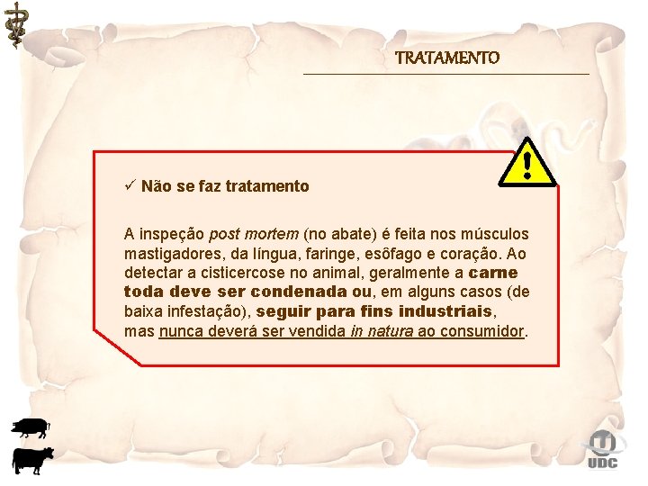 TRATAMENTO ü Não se faz tratamento A inspeção post mortem (no abate) é feita