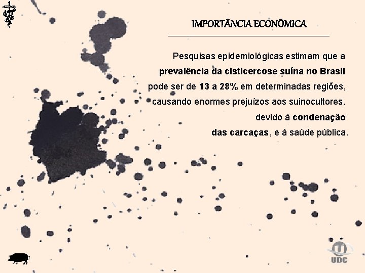 IMPORT NCIA ECONÔMICA Pesquisas epidemiológicas estimam que a prevalência da cisticercose suína no Brasil