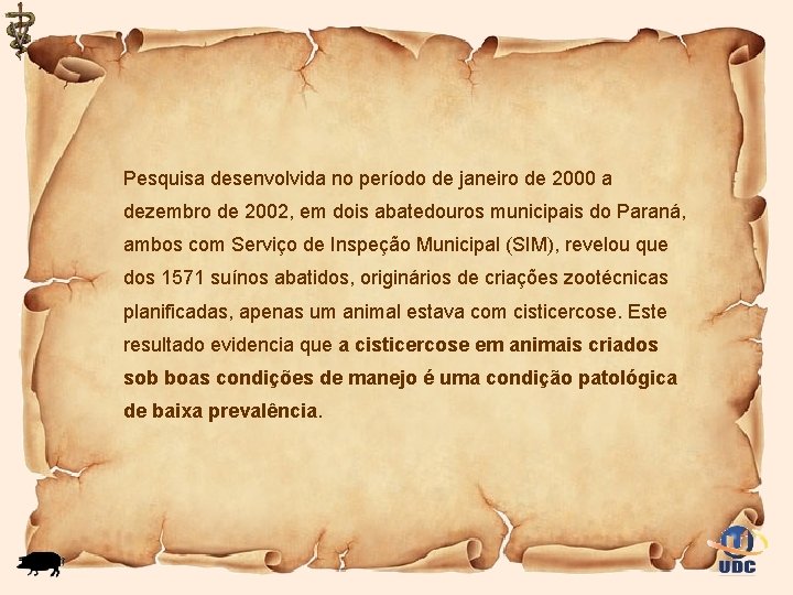 Pesquisa desenvolvida no período de janeiro de 2000 a dezembro de 2002, em dois