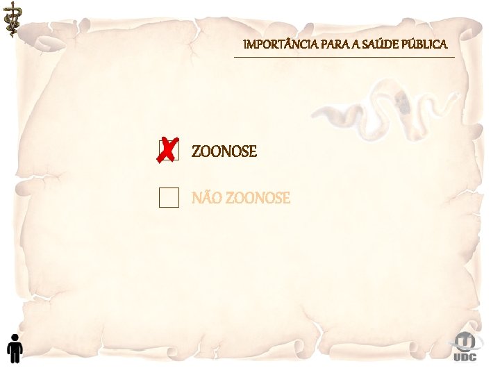 IMPORT NCIA PARA A SAÚDE PÚBLICA ZOONOSE NÃO ZOONOSE 
