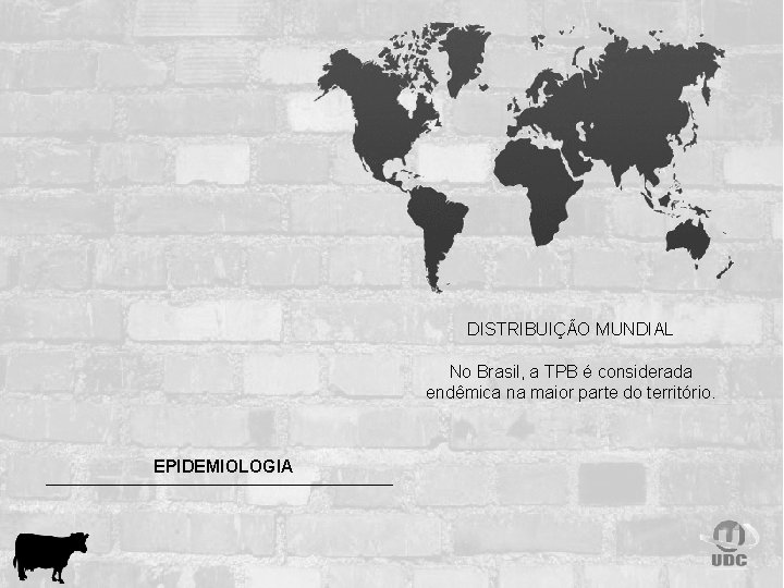 DISTRIBUIÇÃO MUNDIAL No Brasil, a TPB é considerada endêmica na maior parte do território.