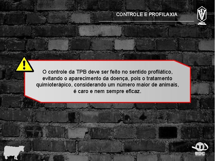 CONTROLE E PROFILAXIA O controle da TPB deve ser feito no sentido profilático, evitando