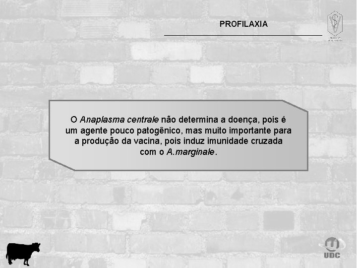 PROFILAXIA O Anaplasma centrale não determina a doença, pois é um agente pouco patogênico,