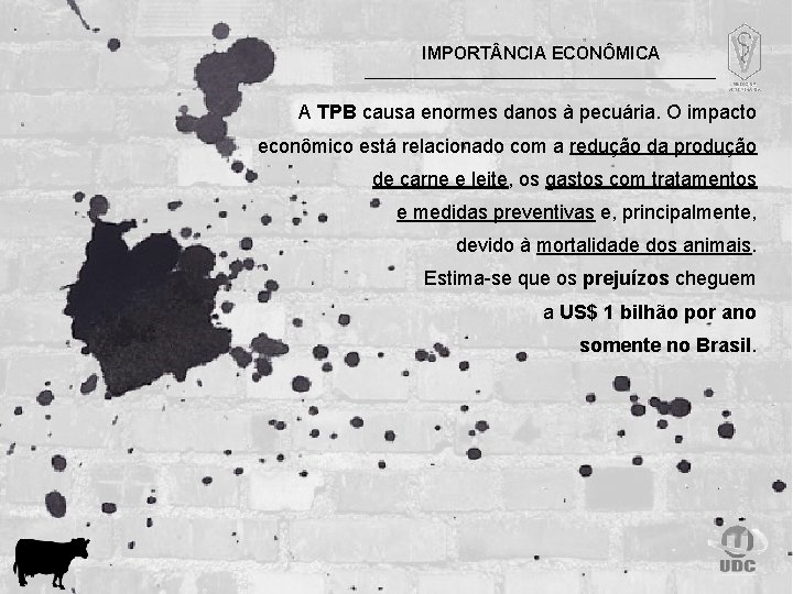 IMPORT NCIA ECONÔMICA A TPB causa enormes danos à pecuária. O impacto econômico está