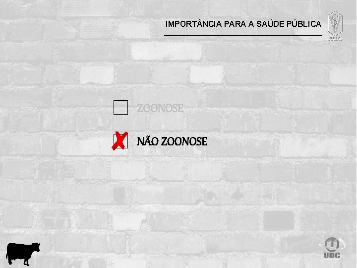 IMPORT NCIA PARA A SAÚDE PÚBLICA ZOONOSE NÃO ZOONOSE 