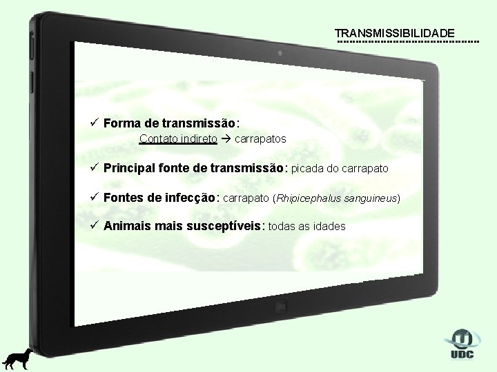 TRANSMISSIBILIDADE ü Forma de transmissão: Contato indireto carrapatos ü Principal fonte de transmissão: picada
