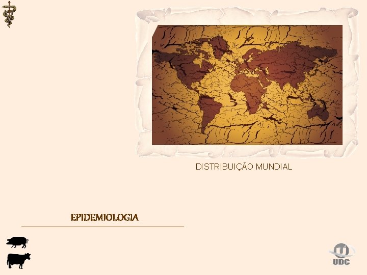 DISTRIBUIÇÃO MUNDIAL EPIDEMIOLOGIA 