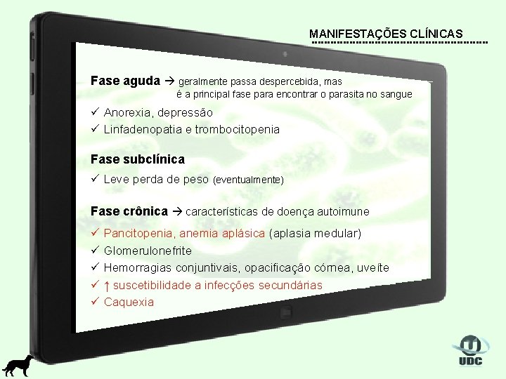 MANIFESTAÇÕES CLÍNICAS Fase aguda geralmente passa despercebida, mas é a principal fase para encontrar