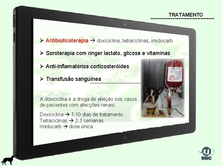 TRATAMENTO Ø Antibioticoterapia doxiciclina, tetraciclinas, imidocarb Ø Soroterapia com ringer lactato, glicose e vitaminas