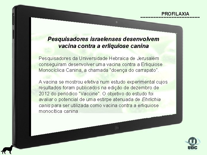 PROFILAXIA Pesquisadores israelenses desenvolvem vacina contra a erliquiose canina Pesquisadores da Universidade Hebraica de