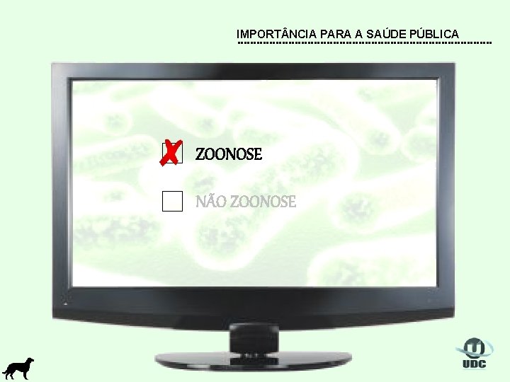 IMPORT NCIA PARA A SAÚDE PÚBLICA ZOONOSE NÃO ZOONOSE 