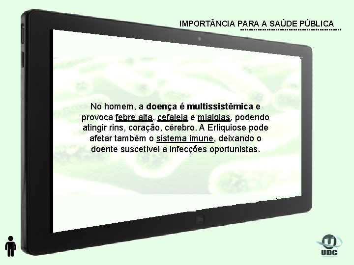 IMPORT NCIA PARA A SAÚDE PÚBLICA No homem, a doença é multissistêmica e provoca