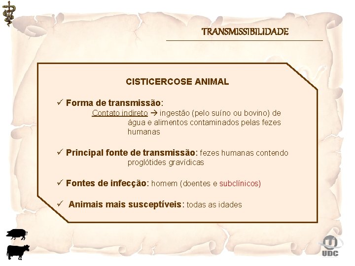 TRANSMISSIBILIDADE CISTICERCOSE ANIMAL ü Forma de transmissão: Contato indireto ingestão (pelo suíno ou bovino)
