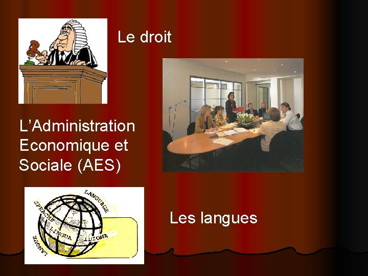 Le droit L’Administration Economique et Sociale (AES) Les langues 