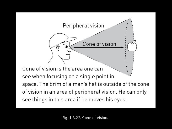 Fig. 1. 3. 22. Cone of Vision. 