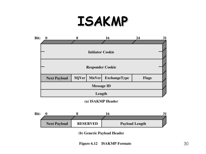 ISAKMP 30 