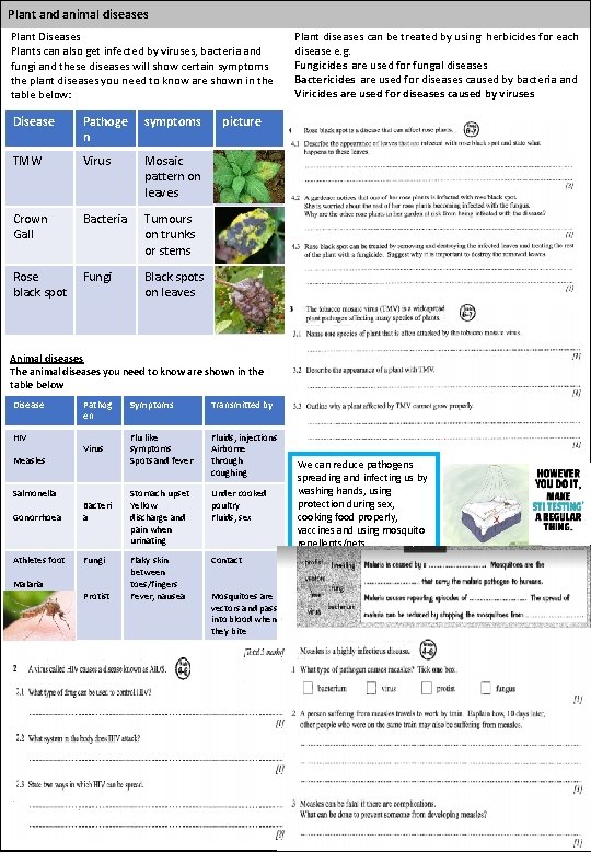 Plant and animal diseases Plant Diseases Plants can also get infected by viruses, bacteria