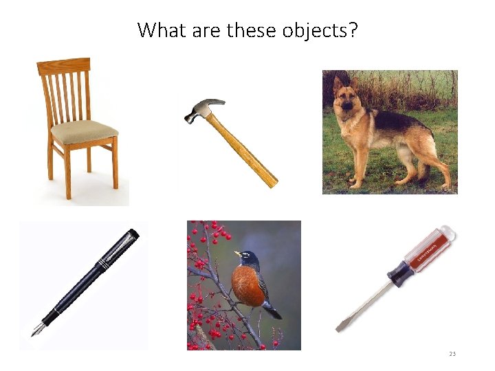 What are these objects? 25 