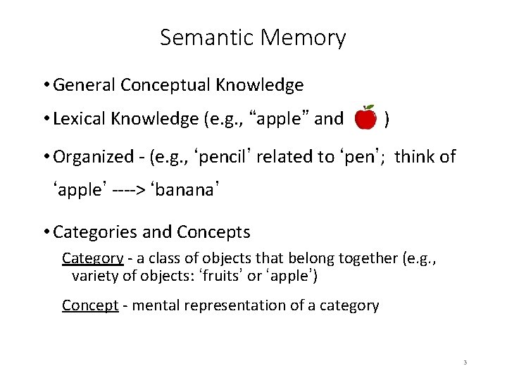 Semantic Memory • General Conceptual Knowledge • Lexical Knowledge (e. g. , “apple” and