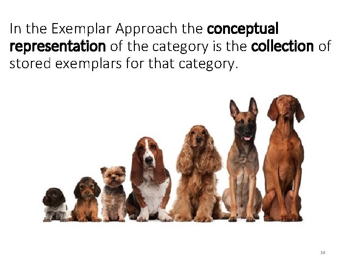 In the Exemplar Approach the conceptual representation of the category is the collection of