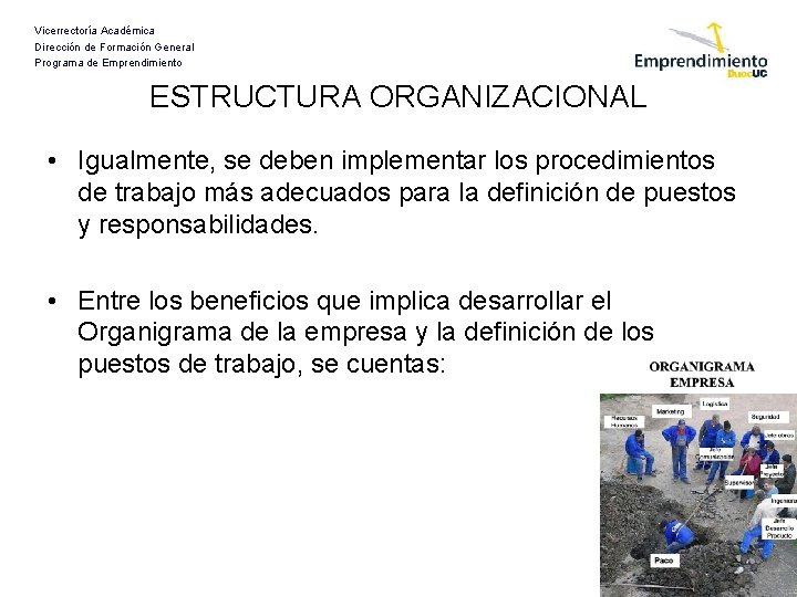 Vicerrectoría Académica Dirección de Formación General Programa de Emprendimiento ESTRUCTURA ORGANIZACIONAL • Igualmente, se