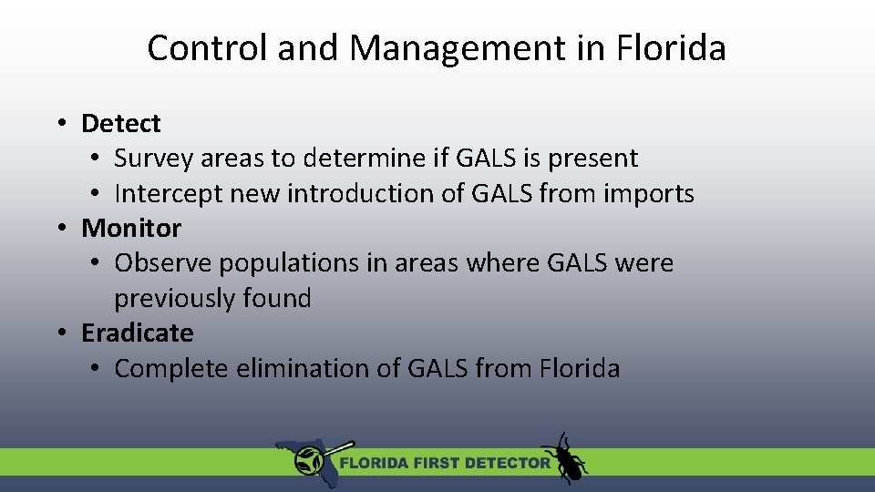 Control and Management in Florida • Detect • Survey areas to determine if GALS