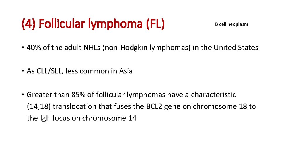 (4) Follicular lymphoma (FL) B cell neoplasm • 40% of the adult NHLs (non-Hodgkin (4) Follicular lymphoma (FL) B cell neoplasm • 40% of the adult NHLs (non-Hodgkin