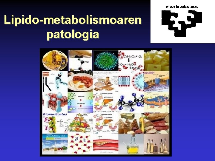 Lipido-metabolismoaren patologia 