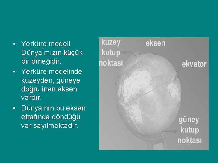 • Yerküre modeli Dünya’mızın küçük bir örneğidir. • Yerküre modelinde kuzeyden, güneye doğru • Yerküre modeli Dünya’mızın küçük bir örneğidir. • Yerküre modelinde kuzeyden, güneye doğru