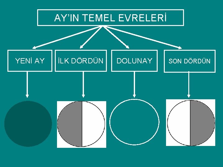 AY’IN TEMEL EVRELERİ YENİ AY İLK DÖRDÜN DOLUNAY SON DÖRDÜN 