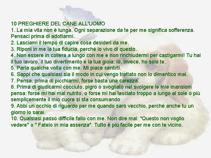 10 PREGHIERE DEL CANE ALL'UOMO 1. La mia vita non è lunga. Ogni separazione