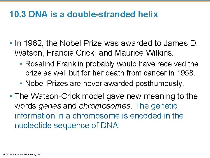 10. 3 DNA is a double-stranded helix • In 1962, the Nobel Prize was