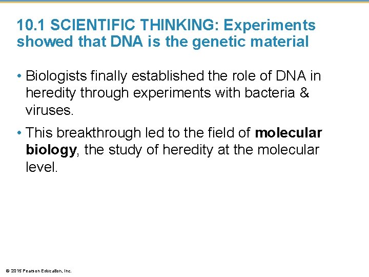 10. 1 SCIENTIFIC THINKING: Experiments showed that DNA is the genetic material • Biologists