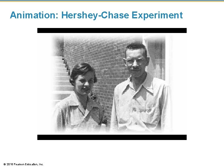 Animation: Hershey-Chase Experiment © 2015 Pearson Education, Inc. 